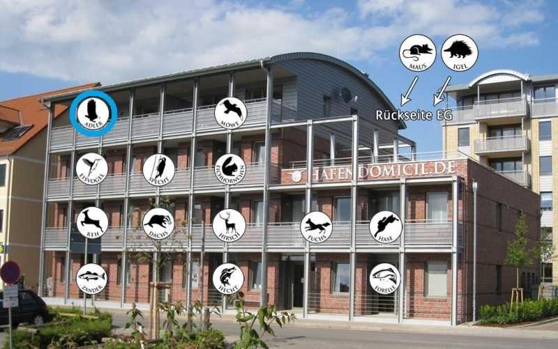 Hafendomicil Appartement Wh15 - Adler Waren  Exterior photo